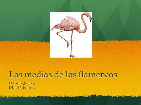 Las medias de los flamencos