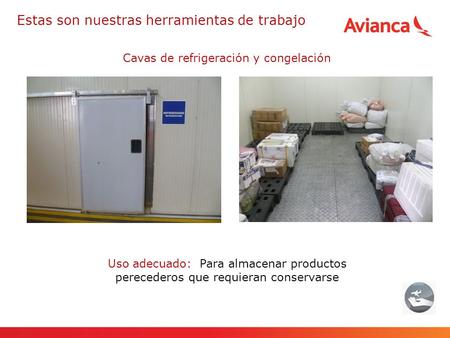 Cavas de refrigeración y congelación