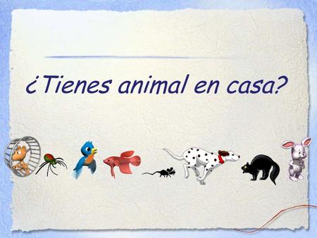 ¿Tienes animal en casa?. Objectives: By the end of this lesson I will be able to: 1.give the Spanish words for 8 different pets 2.ask a friend if they.