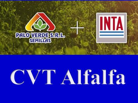 Creación y Difusión de Cultivares de Cultivares de de Alfalfa.