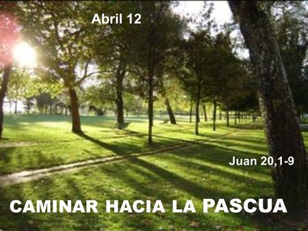 CAMINAR HACIA LA PASCUA Abril 12 Juan 20,1-9. VEN ESPÍRITU DE VIDA, INFUNDE EN NOSOTROS EL AMOR A LO NUEVO, A ESA VIDA NUEVA QUE HOY SE MANIFIESTA EN.