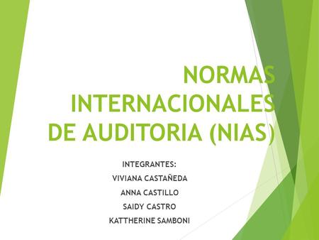 NORMAS INTERNACIONALES DE AUDITORIA (NIAS)
