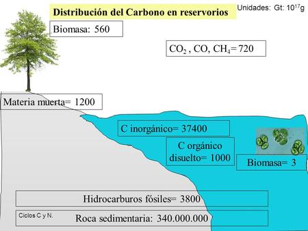 Hidrocarburos fósiles= 3800
