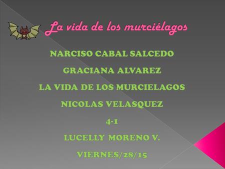 La vida de los murciélagos