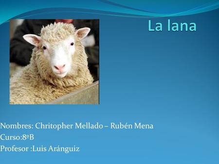 Nombres: Chritopher Mellado – Rubén Mena Curso:8ºB Profesor :Luis Aránguiz.