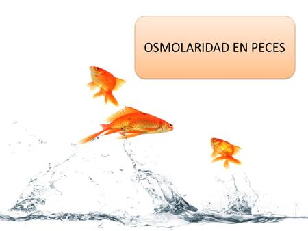 OSMOLARIDAD EN PECES.