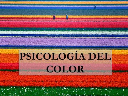 PSICOLOGÍA DEL COLOR. ¿Como nos afectan los colores? Cada uno tiene sus propias ideas, antipatías o simpatías, gusto o desagrado sobre cada color, pero.