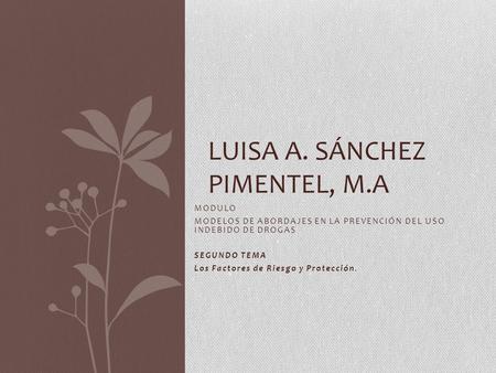 Luisa A. Sánchez Pimentel, M.A