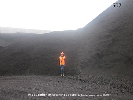 Pila de carbón en la cancha de acopio. (Fuente: terreno Huasco 20/05)