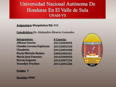 Universidad Nacional Autónoma De Honduras En El Valle de Sula