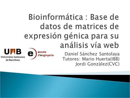 Daniel Sánchez Santolaya Tutores: Mario Huerta(IBB) Jordi Gonzàlez(CVC)