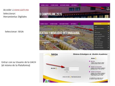 Acceder a www.uach.mx Seleccionar: Herramientas Digitales Seleccionar: SEGA Entrar con su Usuario de la UACH (el mismo de la Plataforma)
