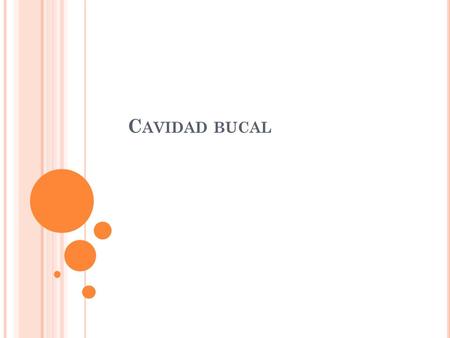 Cavidad bucal.