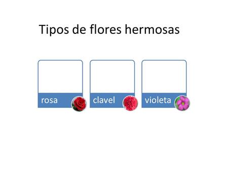 Tipos de flores hermosas