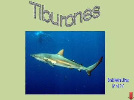 Tiburones.