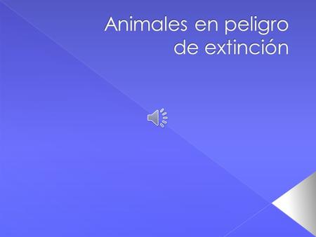 Animales en peligro de extinción