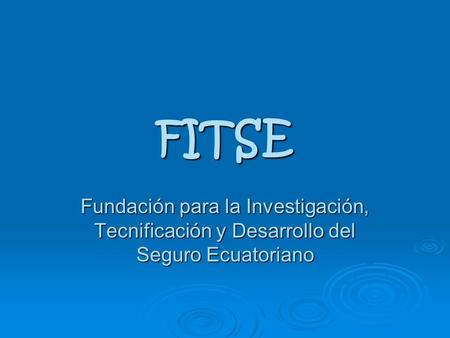FITSE Fundación para la Investigación, Tecnificación y Desarrollo del Seguro Ecuatoriano.