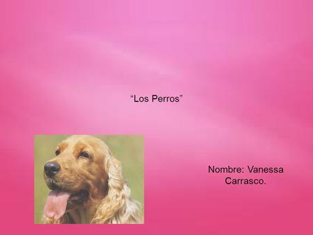 Nombre: Vanessa Carrasco.