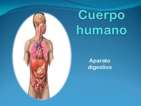 Cuerpo humano Aparato digestivo.