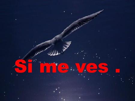 Si me ves ..