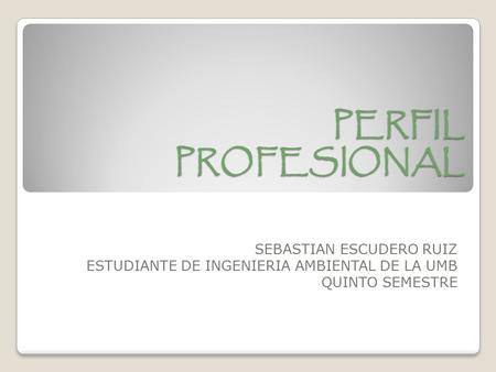 PERFIL PROFESIONAL SEBASTIAN ESCUDERO RUIZ