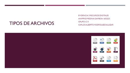 TIPOS DE ARCHIVOS EVIDENCIA 3 RECURSOS DIGITALES ANIFFRID MEDINA GAMBOA 1602223 GRUPO: C13 CARLOS ALBERTO RODRÍGUEZ SALAZAR.