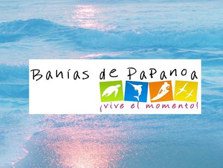 BAHIAS DE PAPANOA 2015. BAHIAS DE PAPANOA ESTE DOCUMENTO FUE REALIZADO POR LA SECRETARIA DE MEDIO AMBIENTE Y RECURSOS NATURALES BAHIAS DE PAPANOA SON.