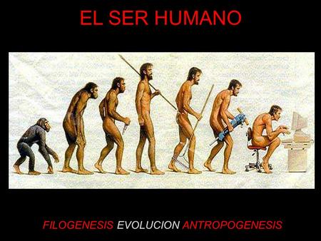 FILOGENESIS EVOLUCION ANTROPOGENESIS