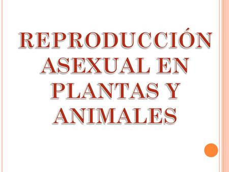 REPRODUCCIÓN ASEXUAL EN PLANTAS Y ANIMALES