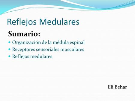 Reflejos Medulares Sumario: Organización de la médula espinal