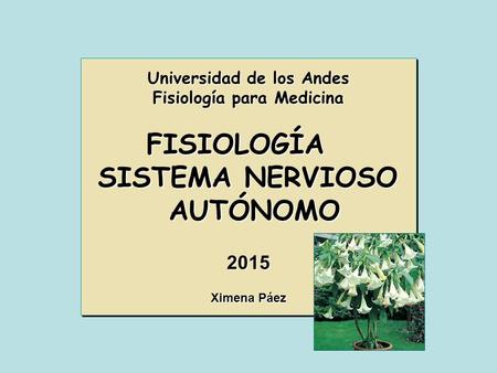 Universidad de los Andes Fisiología para Medicina