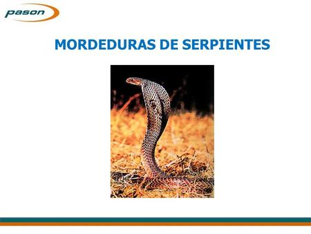 MORDEDURAS DE SERPIENTES