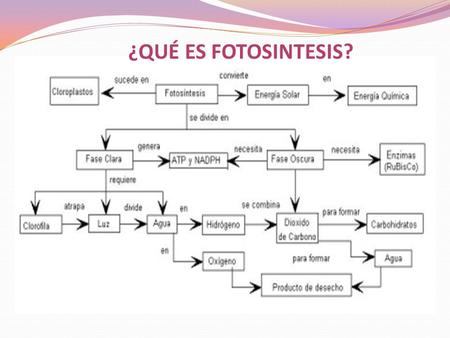 ¿QUÉ ES FOTOSINTESIS? 1.