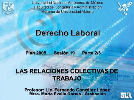 Derecho Laboral Las Relaciones Colectivas de Trabajo Plan 2005