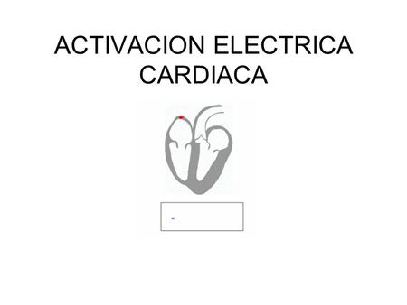 ACTIVACION ELECTRICA CARDIACA
