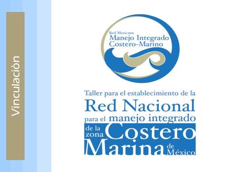 Vinculaciòn. 1. Definición y justificación 2. Condicionantes 3. Atributos 4. Experiencias institucionales y/o personales Inicio/origen de la experiencia.
