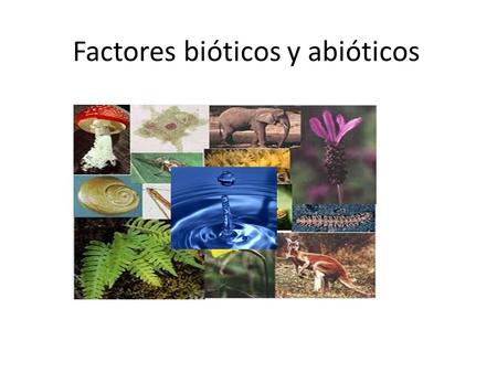 Factores bióticos y abióticos