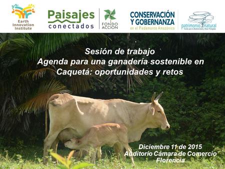 Sesión de trabajo Agenda para una ganadería sostenible en Caquetá: oportunidades y retos Diciembre 11 de 2015 Auditorio Cámara de Comercio Florencia.