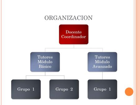 ORGANIZACION Docente Coordinador Tutores Módulo Básico Grupo 1Grupo 2 Tutores Módulo Avanzado Grupo 1.