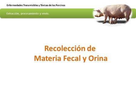 Recolección de Materia Fecal y Orina