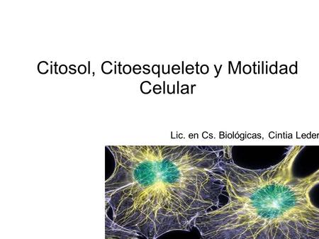 Citosol, Citoesqueleto y Motilidad Celular