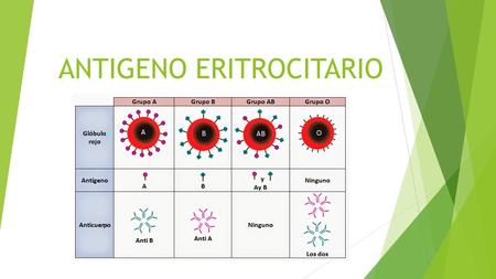 ANTIGENO ERITROCITARIO