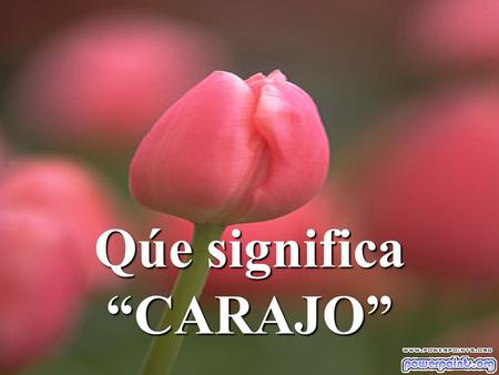 Qúe significa “CARAJO”. Según la Real Academia Española, CARAJO es la palabra con la que se nominaba a la pequeña canastilla que se encontraba en lo.