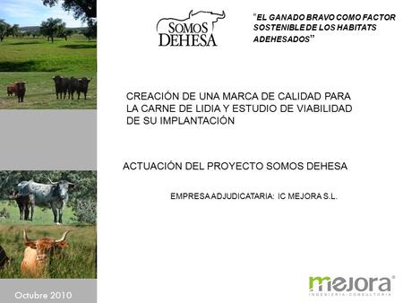 Octubre 2010 CREACIÓN DE UNA MARCA DE CALIDAD PARA LA CARNE DE LIDIA Y ESTUDIO DE VIABILIDAD DE SU IMPLANTACIÓN ACTUACIÓN DEL PROYECTO SOMOS DEHESA “ EL.