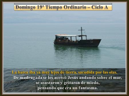 La barca iba ya muy lejos de tierra, sacudida por las olas. De madrugada se les acercó Jesús andando sobre el mar, se asustaron y gritaron de miedo, pensando.