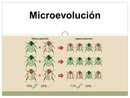 Microevolución.