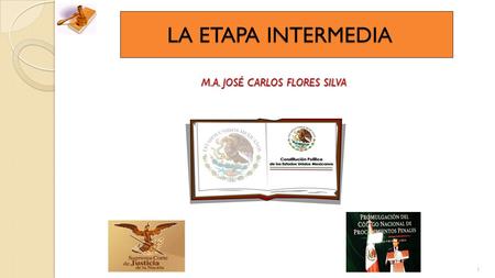 M.A. JOSÉ CARLOS FLORES SILVA