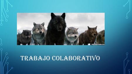 TRABAJO COLABORATIVO.  Involucra a un grupo de personas con roles específicos que interactúan en pro de un constructo intelectual o elemento de aprendizaje.
