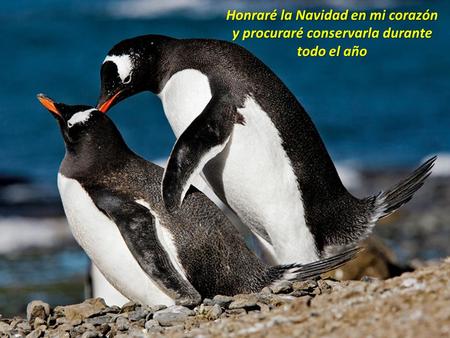 Honraré la Navidad en mi corazón y procuraré conservarla durante todo el año.