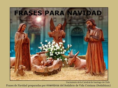 FRASES PARA NAVIDAD Frases de Navidad preparadas por miembros del Sodalicio de Vida Cristiana (Sodalitium) Nacimiento de la Catedral de Santiago de Chile.
